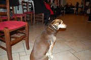 2018_confmilazzo-assemblea (149)